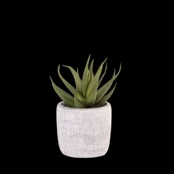 Cement Planta Artificial Cinzento>CASA Outlet