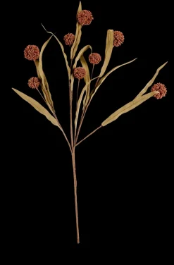 Eva Ramo De Flores Multicolor>CASA New