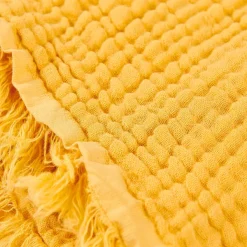 Felice Manta Ocre>CASA Online