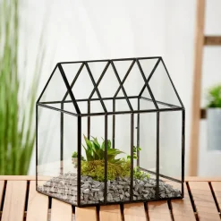Greenhouse Mini Estufa Transparente><noscript><img width=