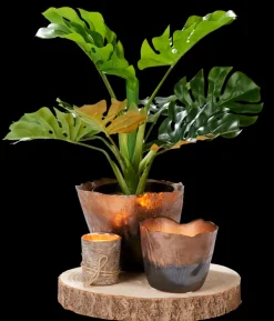 Paulo Prato Natural>CASA Best Sale