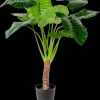 Taro Planta Artificial Ar O Verde>CASA Hot