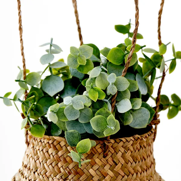 Terra Planta Em Vaso Branco, Verde>CASA Fashion