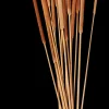 Typha Canas Conjunto De 15 Natural>CASA Best Sale