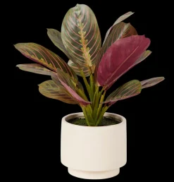 Zebrina Planta Artificial>CASA Store